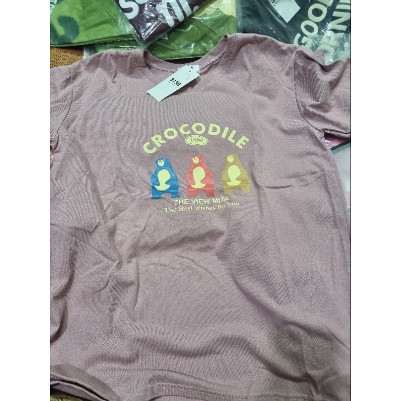 Ngẫu nhiên 1 áo Phông chất Cotton siêu đẹp