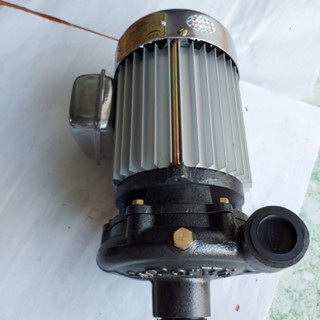  Máy bơm nước Tân Hoàn Cầu 0.5hp - 1HP SuperWin hút xã 42 34 16m3 h trục-phốt INOX bảo hành 12 tháng chính hãng. 