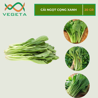 HẠT GIỐNG CẢI NGỌT CỌNG XANH 20gr - VEGETASHOP - HẠT GIỐNG NẢY MẦM TỐT, NĂNG SUẤT CAO
