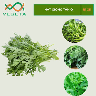 HẠT GIỐNG RAU TẦN Ô 15gr - VEGETASHOP - HẠT GIỐNG NẢY MẦM TỐT, NĂNG SUẤT CAO