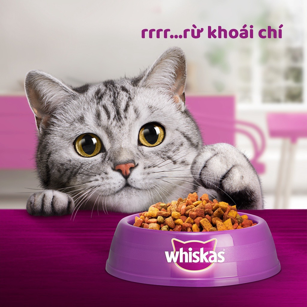 Whiskas Thức Ăn Hạt Cho Mèo Con & Trưởng Thành