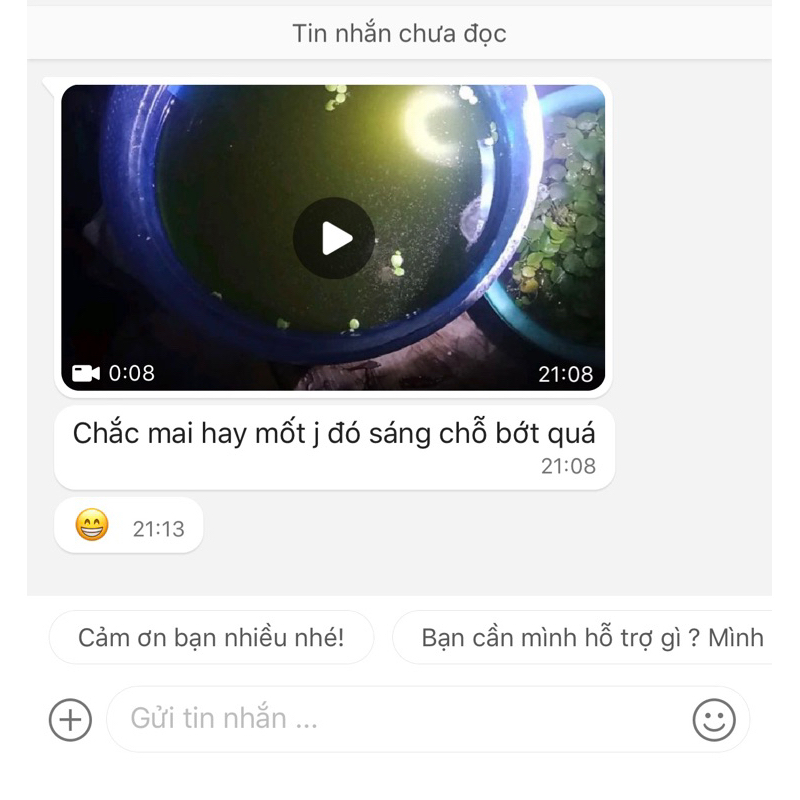 Tạo Trứng Nước  Có thêm Men con giống bobo tạo 100% Thành Công