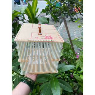 Hộp đựng cào cào nan cáp quang hộp đựng dế tiện lợi