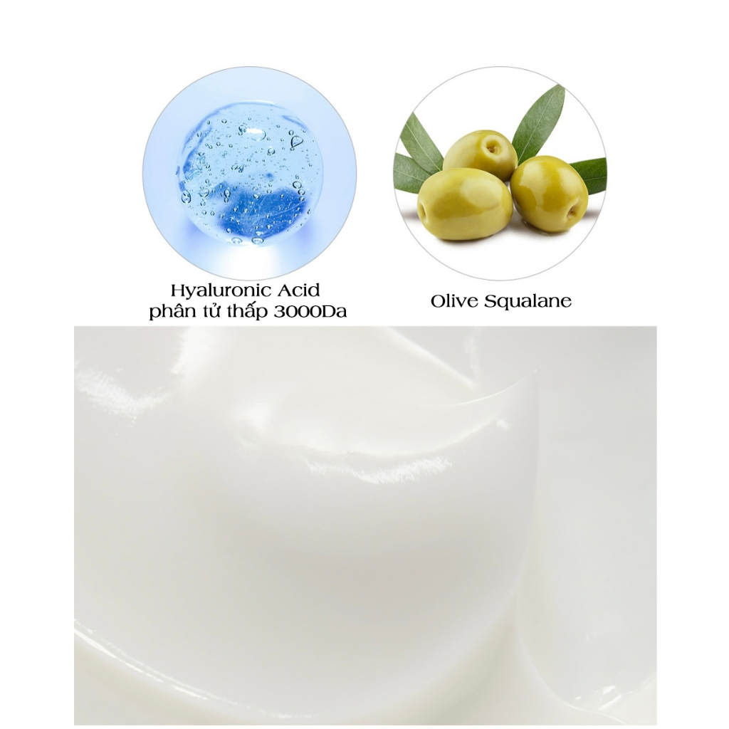 Kem dưỡng cấp nước, cấp ẩm oil free DERMA FACTORY AUQAPORIN HYDRATING CREAM
