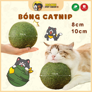 [Hỏa tốc] Bóng Catnip khổng lồ 10cm cho mèo, Catnip size lớn cho mèo