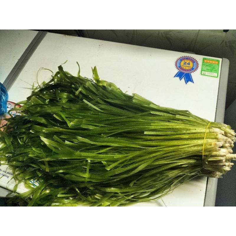 hẹ nước 1kg