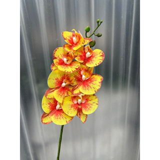 Hoa giả - Lan hồ điệp cao su 9, 7 bông thân đốm cao cấp