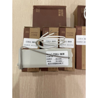 Bộ đếm xung (Counter) 6 số BERM CSK6-NKW