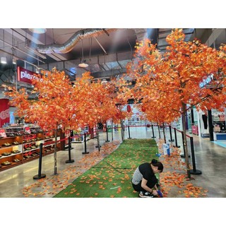 Cành lá phong đỏ làm cây trang trí decor