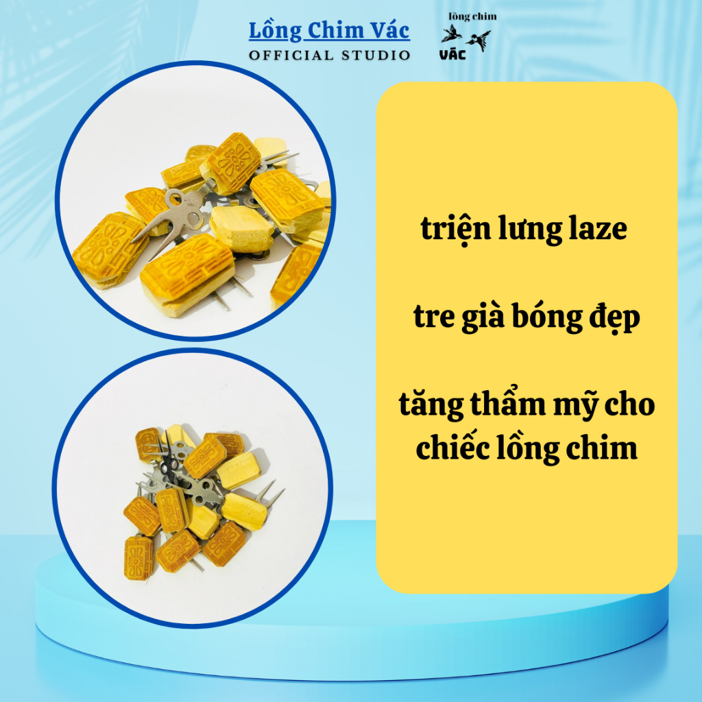 Xuyên chuối laze, xuyên chuối tre già đầu inox cao cấp