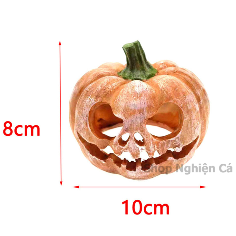 Hang Cá Bí Ngô, Đường Hầm Trú Ẩn, Mô Hình Trang Trí Bể Cá Bể Thủy Sinh