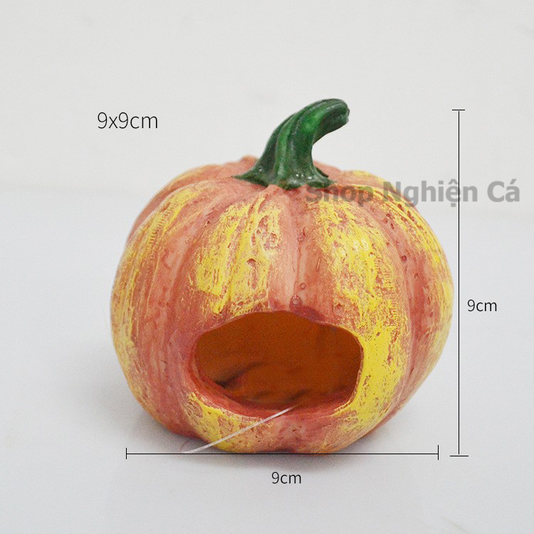 Hang Cá Bí Ngô, Đường Hầm Trú Ẩn, Mô Hình Trang Trí Bể Cá Bể Thủy Sinh