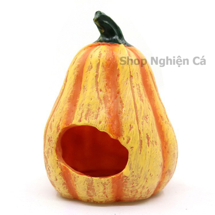 Hang Cá Bí Ngô, Đường Hầm Trú Ẩn, Mô Hình Trang Trí Bể Cá Bể Thủy Sinh