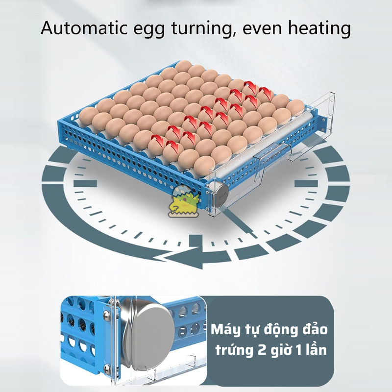 Máy ấp trứng gà mini tự động Dương Ninh đa năng hiện đại MA10