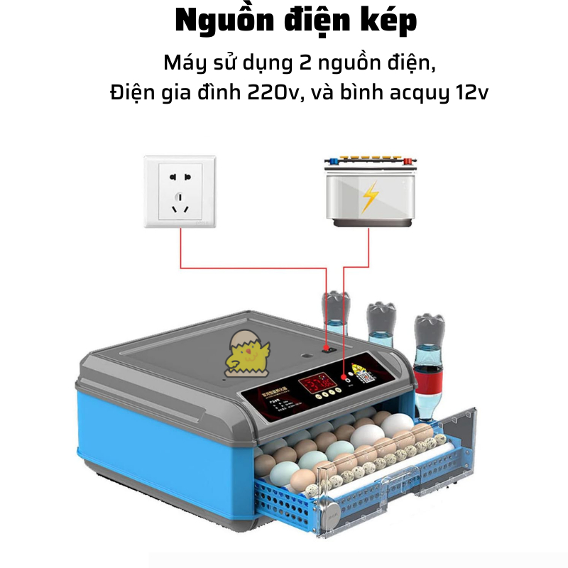 Máy ấp trứng gà mini tự động Dương Ninh đa năng hiện đại MA10