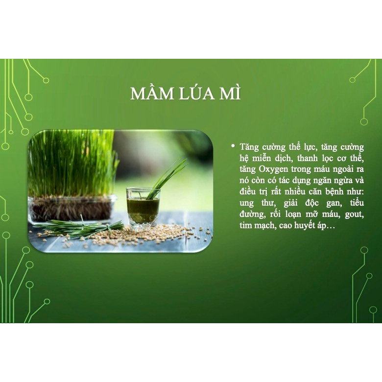 SUTO MEAL  - BỮA ĂN ĐƠN GIẢN TRÀN ĐẦY NĂNG LƯỢNG MỖI NGÀY