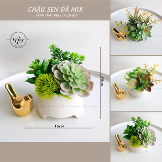 Cây giả,Chậu Sen Đá giả Mix để bàn trang trí chậu sứ