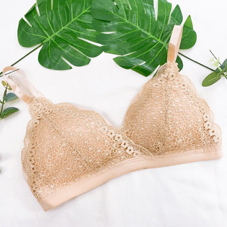 🌸sale thanh lý áo lót ren da đệm mỏng size 34,36,38