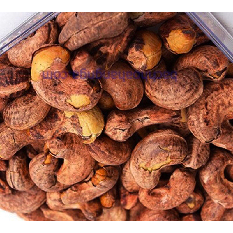 Hạt điều vỏ lụa rang muối Size to 500g