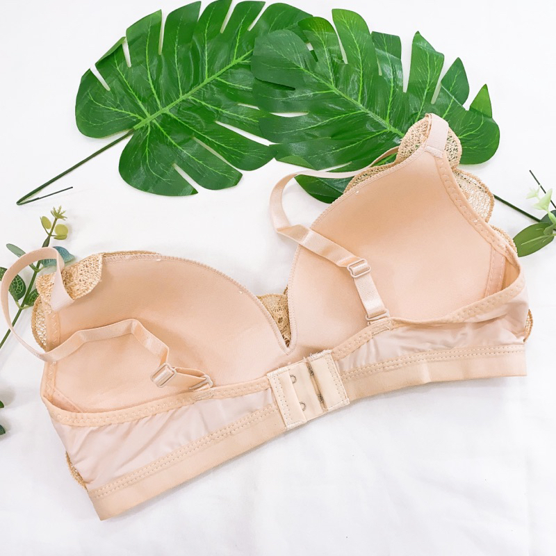 🌸SALE THANH LÝ áo lót ren da đệm mỏng size 34,36,38