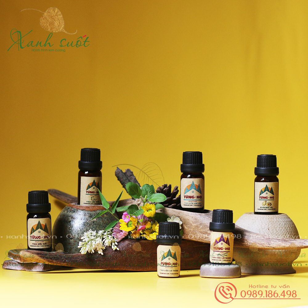 TINH DẦU NGUYÊN CHẤT TÙNG HẠ - TUNG HA ESSENTIAL OIL - Nguyên chất/Tự nhiên/Canh tác đa tầng tán