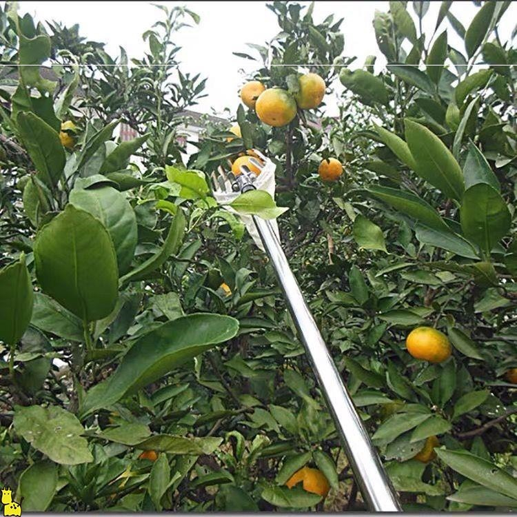 Dụng cụ gậy hái quả, sào hái trái cây, cây hái hoa quả rút gọn dài 3-6m kèm đầu vợt đường kính 16cm hái trái dễ dàng.