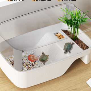  Bể nuôi rùa có hiên tắm nắng bể nuôi cá đặc biệt nuôi rùa 