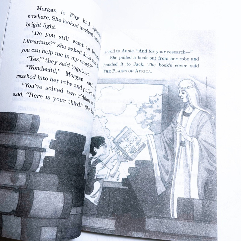 Bộ Nhập Magic Tree House 38 Món