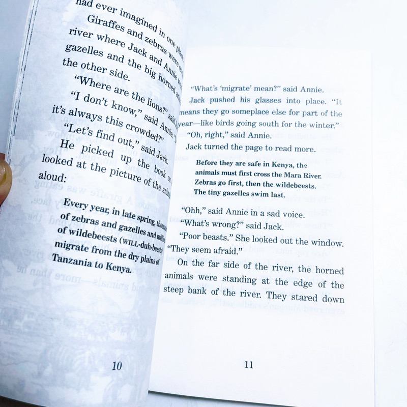 Bộ Nhập Magic Tree House 38 Món