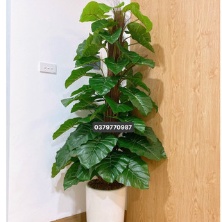 Cây trầu bà cột giả cao 1M6 - Cây giả decor trang trí nhà hàng nội thất, nhà hàng, cafe