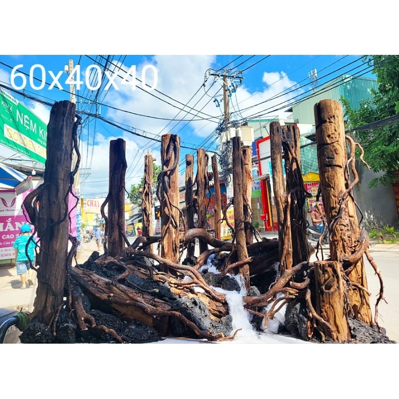 Lũa săn đá thẳng