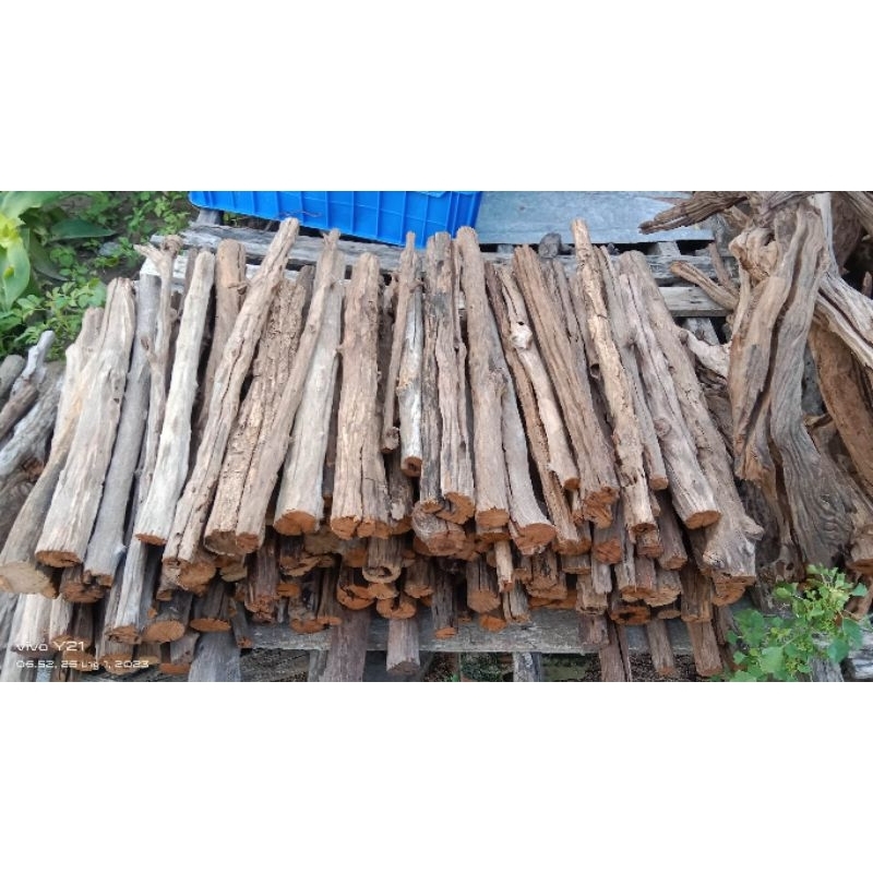 Lũa săn đá thẳng