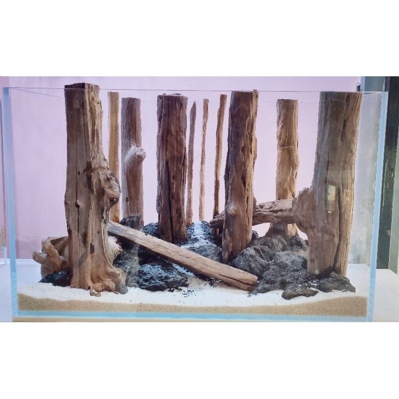 Lũa săn đá thẳng