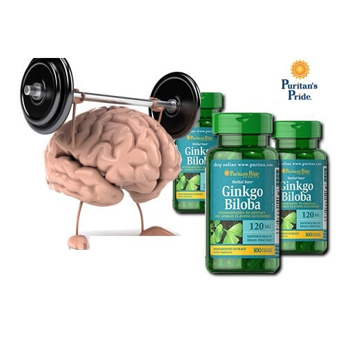 Ginkgo Biloba Puritan's Pride 120mg - Hỗ trợ tuần hoàn não - Nội địa Mỹ