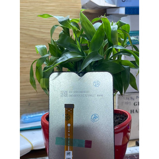 Màn hình VIVO Y19 full bộ