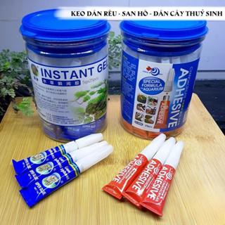 Keo dán cây thủy sinh (Xanh Đỏ), chuyên dán rêu, ráy cây thuỷ sinh