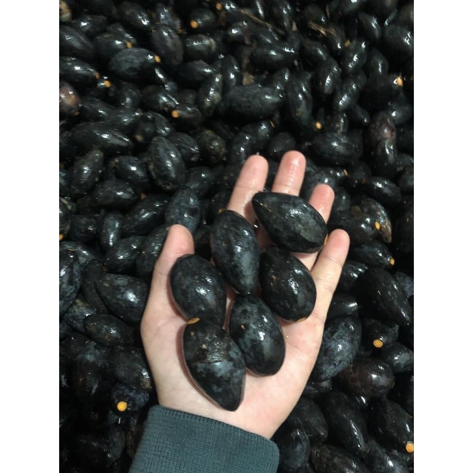 Trám đen đặc sản quý Tây Nguyên 500gr 80k