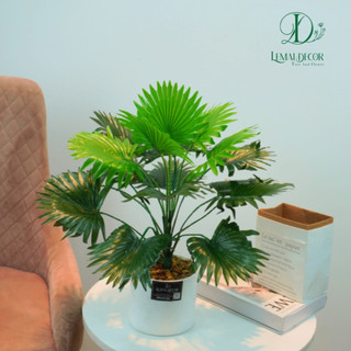 Chậu cây nhựa để bàn trang trí, decor để bàn