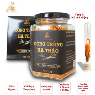 Nấm đông trùng hạ thảo khô sấy thăng hoa - Dalat Cordyceps - hộp 20gr