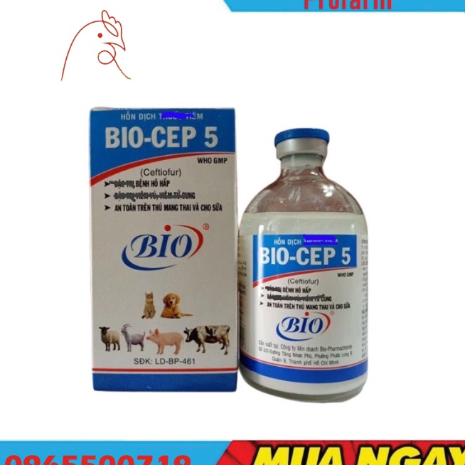 Bio Cep 5 Chai 100ml - B.ệnh Hô Hấp, An Toàn Trên Thú Mang Thai Và Cho Sữa