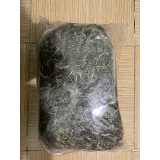 Bồ công anh Lùn