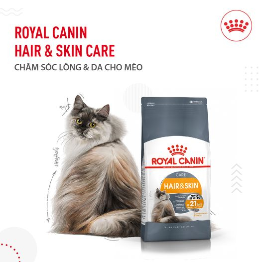 Thức ăn cho mèo trưởng thành hạt khô phục hồi và dưỡng lông Royal Canin Hair and Skin Care 2kg sản xuất tại pháp