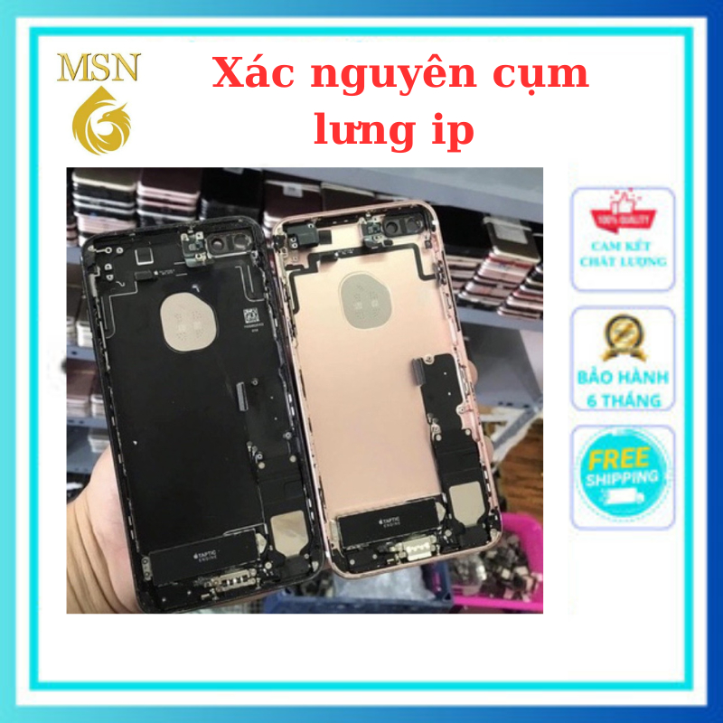 Cụm lưn 6, 6P, 6S, 6SP, 7, 7P, 8P, Zin Vỏ Sấu Lấy Linh Kiện