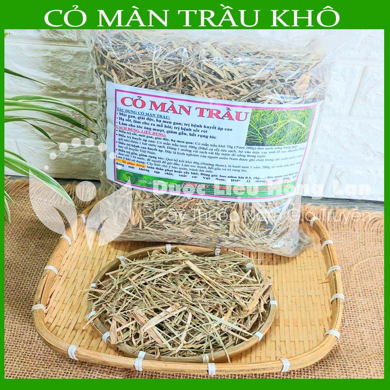 CÂY CỎ MÀN TRẦU khô sạch đóng gói 1kg - congtyduoclieuhonglan