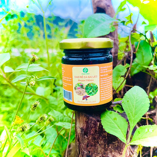 Cao rễ cà gai leo