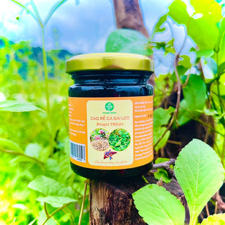 Cao Rễ Cà Gai Leo
