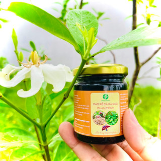 Cao Rễ Cà Gai Leo