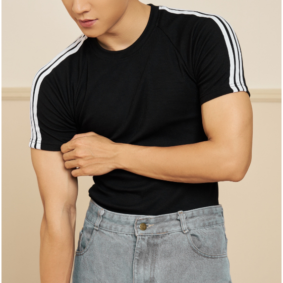 Áo thun nam Soonvn cotton thun gân cổ tròn form slimfit 3 màu LT02