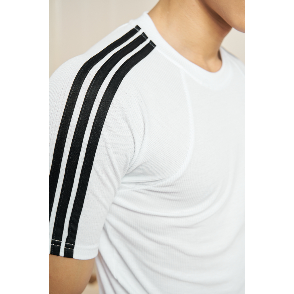 Áo thun nam Soonvn cotton thun gân cổ tròn form slimfit 3 màu LT02