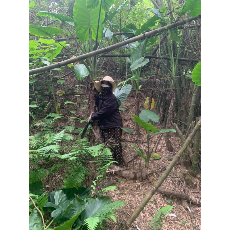 COMBO 10kg BẠC HÀ NÚI